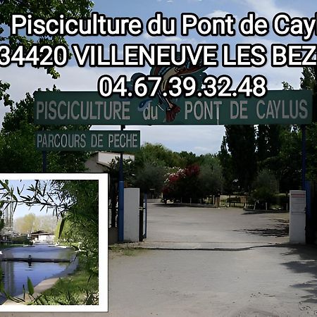 Tiny House 1, 2 Ou 3 Personnes Soeursgrises Beziers Centre Historique Coeur De L'Herault Capitale D'Occitanie Exterior foto