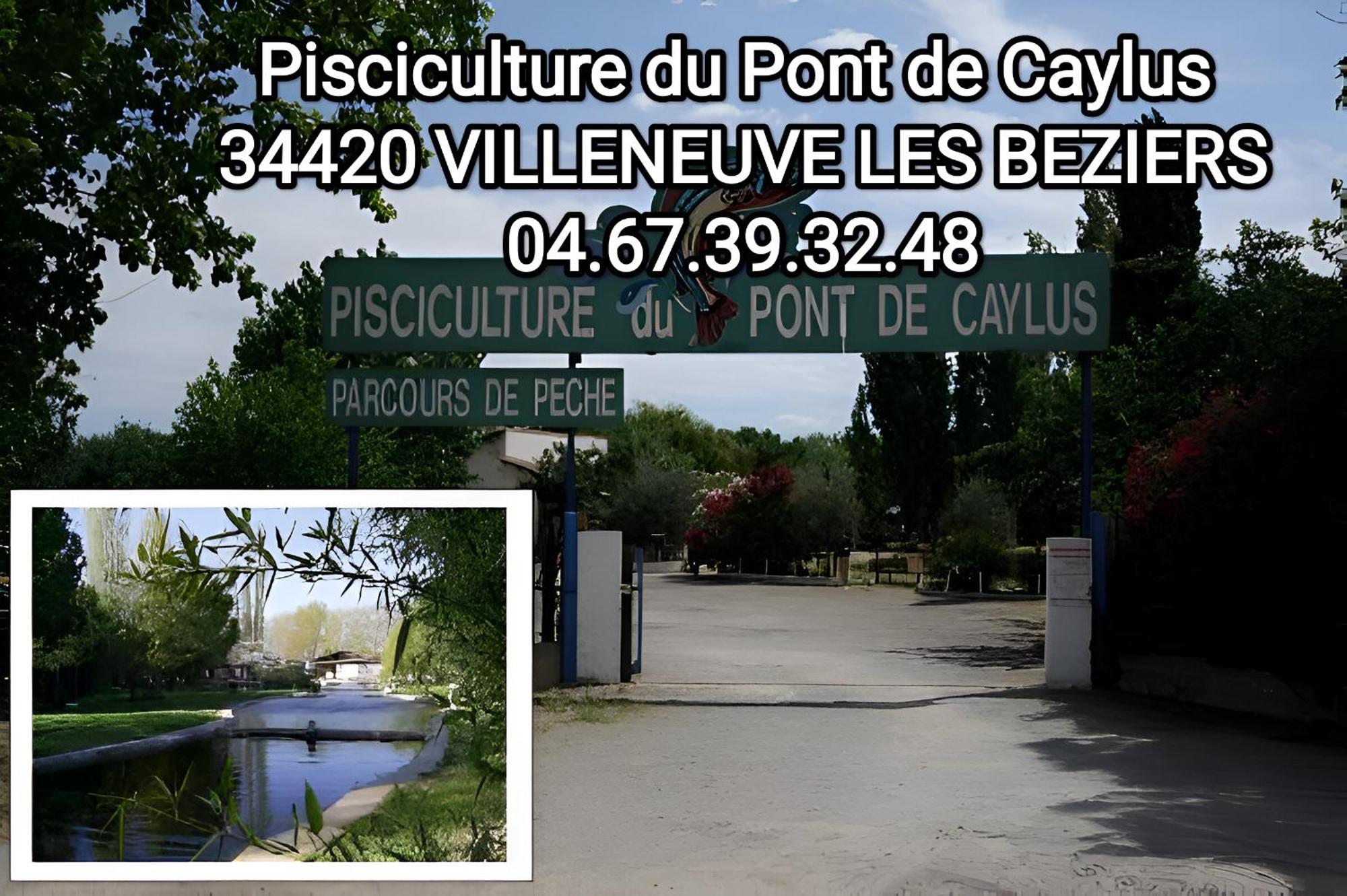 Tiny House 1, 2 Ou 3 Personnes Soeursgrises Beziers Centre Historique Coeur De L'Herault Capitale D'Occitanie Exterior foto